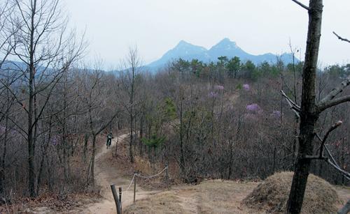 첫 봉우리에서 도락산 정상쪽으로 난 싱글트랙을 달리는 라이더. 멀리 소뿔처럼 솟은 불곡산이 보인다.