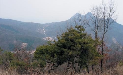 도락산 주능선에서 조망한 불곡산과 청엽굴고개.