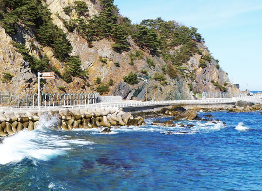 헌화로. 헌화로는 바다와 가장 가까운 한국의 아름다운 길 100선과 전국 10대 드라이브코스에 선정될 만큼 경치가 뛰어나다.
