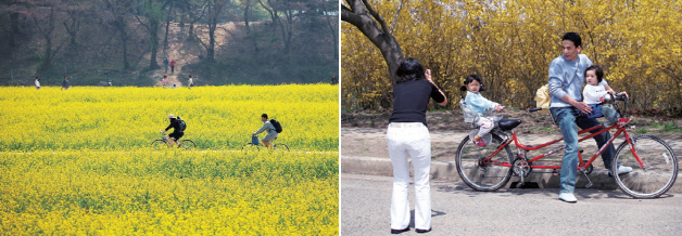 경주 역사탐방 자전거길