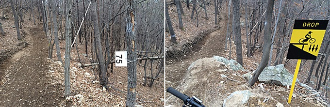 (왼쪽 사진)코스 중간에는 나무에 번호가 매겨져 있는데 비상시 고창 산악자전거 팀 관리자에게 나무 번호를 부르면 위치를 파악해 빠르게 도움을 받을 수 있다
/ (오른쪽 사진)코스 중간에는 곳곳에 드롭대가 만들어져 있다