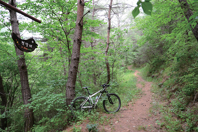 단천교 동쪽을 따라가면 나오는 숲길. 산악자전거는 탈 만하다.