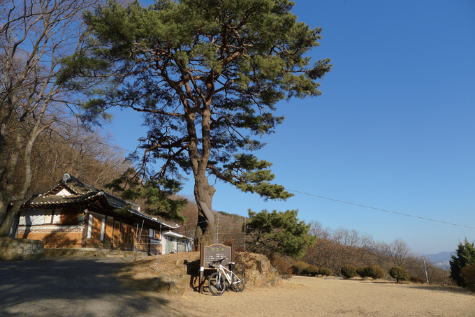 화개산 남쪽 중턱에 자리한 화개사. 보호수로 지정된 소나무와 너른 마당이 인상적이다