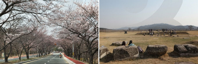 
	(왼쪽부터) 경주의 봄은 벚꽃과 함께 한다 / 신라의 전성기를 보여주는 황룡사지. 수학여행 코스에 속하기도 한다
