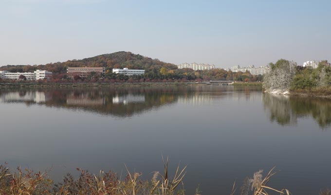 서호의 물그림자로 비친 여기산과 농촌진흥청