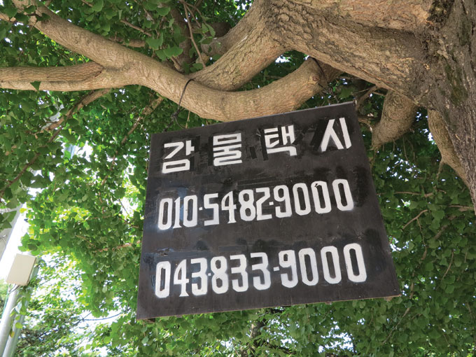 택시콜 연락처 간판이 정겹다(감물면 오성리)