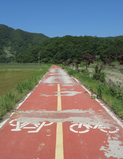 인적조차 드문 강둑길을 자전거전용로로 우레탄 포장한 행정은 비난받아 마땅하다. 관리가 안 되는 게 어쩌면 당연하다(속리산면 북암리)