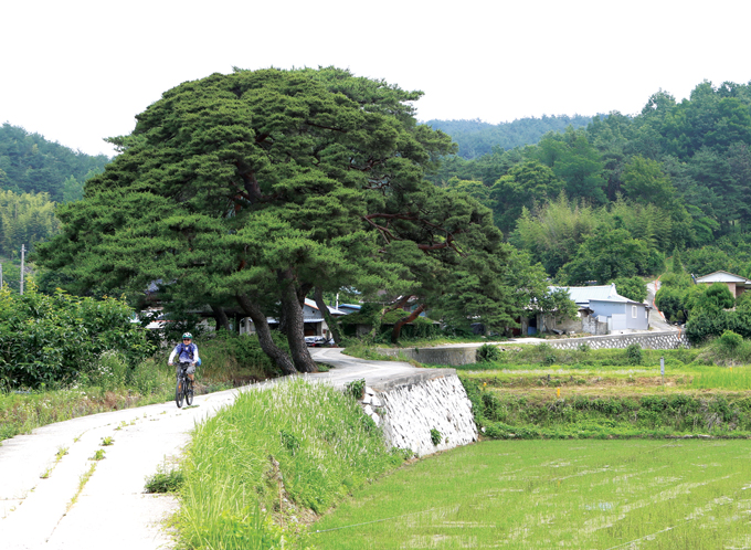 시루봉 아래 동월마을. 문득 마을길로 들어서고 싶어졌다.(진주 수곡)