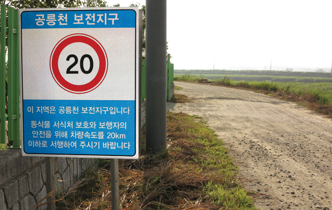 송촌교와 영천배수지 사이는 동식물보호구역이라 비포장 상태로 두었다(파주 교하)  