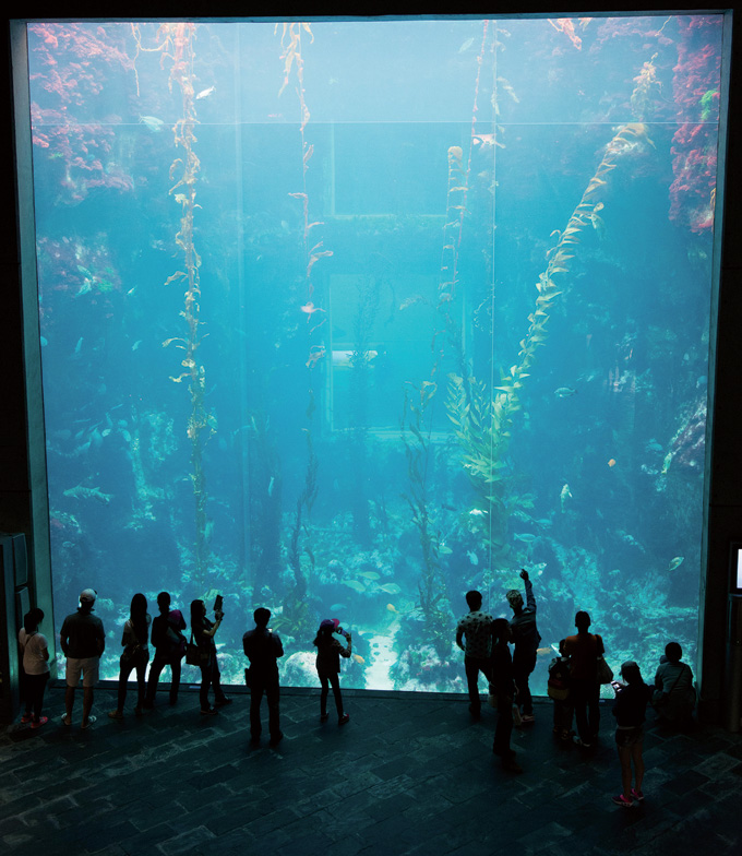 
	컨딩에는 국립해양생물박물관도 위치해 있어 해수욕과는 또 다른 시원함을 느낄 수 있다
