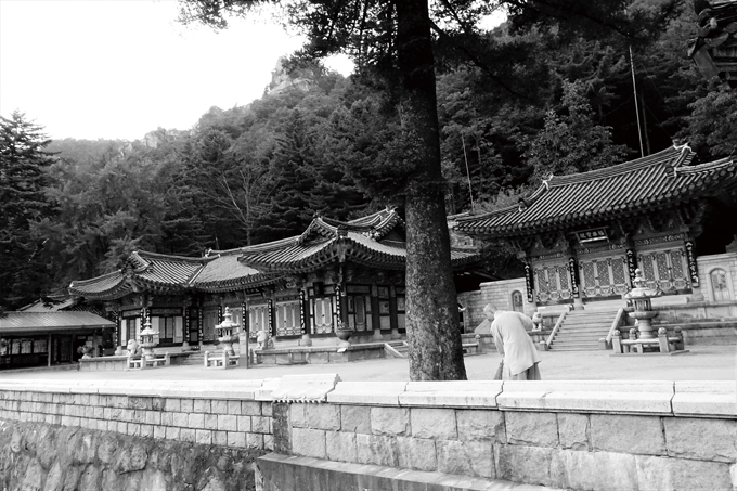 태고사의 아침. 원효대사가 이 자리를 잡고 좋아서 사흘을 춤추었다니 앞으로 천년도 흑백사진처럼 그 자리에 있기를(금산 진산)