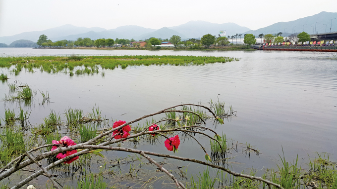 
	‘세미원’의 봄 풍경. 멀리 두물머리가 보인다.(양평 양서)
