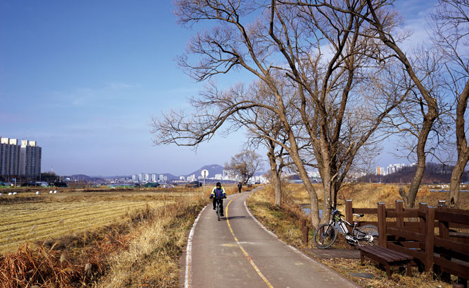
	시흥 물왕저수지에서 갯골생태공원으로 이어지는 호조벌 자전거도로. 시야의 끝에는 아파트로 모가 나지만 고목이 듬성한 들길은 한없이 정겹다.
