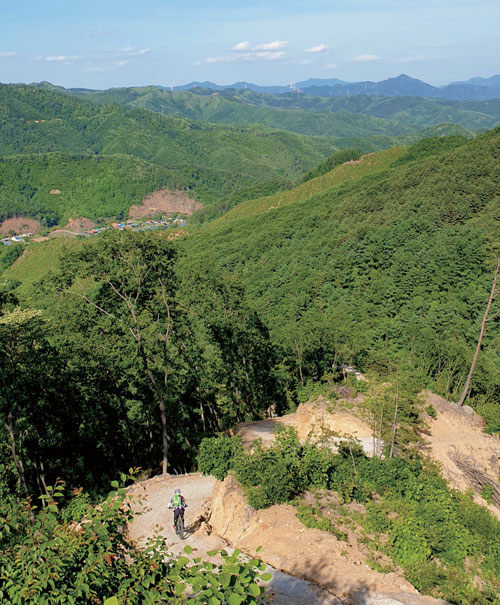 비솔고개에서 출발해 도일봉(864m) 중턱을 따라 거의 다운힐로 이뤄진 향소리 임도