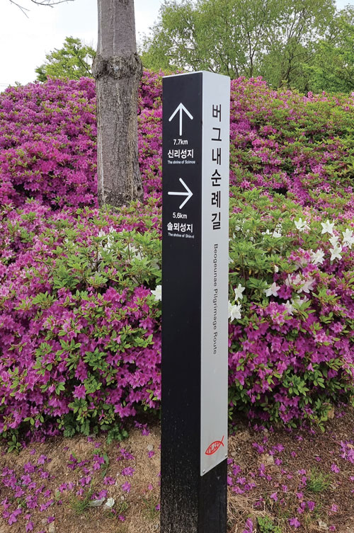
	버그내순례길 안내판. 규모는 작지만 성지 순례길인 점
에서 ‘한국의 산티아고’라고도 부른다. 길에 ‘ㅂㄱㄴㅅㄹㄱ’이라는 표시는 버그내순례길의 로고다.
