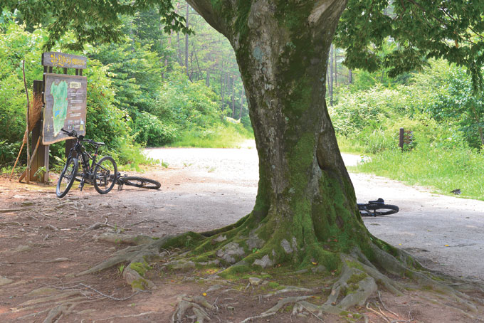 
	화시산 남릉을 넘는 사슬치(170m). 느티나무 고목과 성황당, 정자 쉼터가 마련되어 있고 동쪽으로 호남평야 남단의 조망이 탁 트인다
