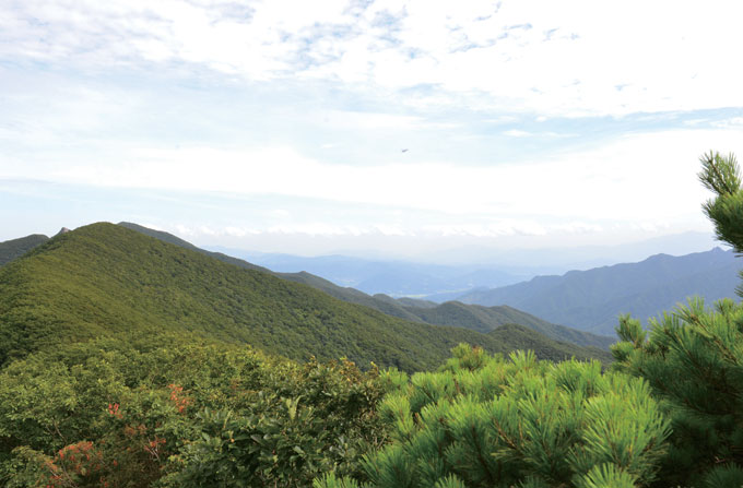 
	안부 서쪽 200m 지점의 해발 1273m 돌출바위에서 본 기백산은 거의 눈높이다. 오른쪽으로 황석산과 지리산 천왕봉이 겹쳐보인다.
